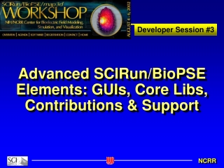 Advanced SCIRun/BioPSE Elements: GUIs, Core Libs, Contributions &amp; Support