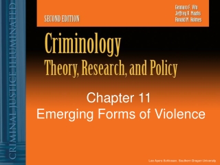 Chapter 11  Emerging Forms of Violence