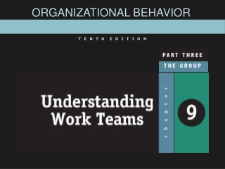 ORGANIZATIONAL BEHAVIOR