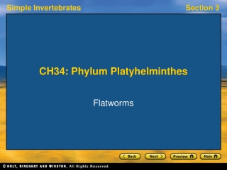 CH34: Phylum Platyhelminthes