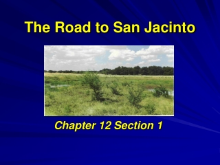 The Road to San Jacinto