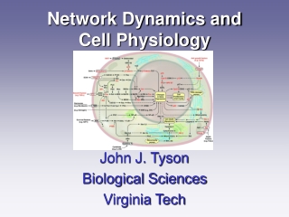 Network Dynamics and Cell Physiology