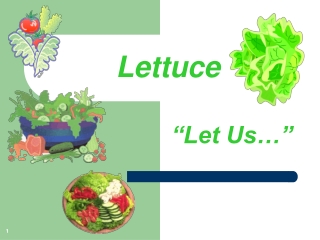 Lettuce