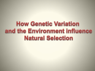 How Genetic Variation  and the Environment influence  Natural Selection