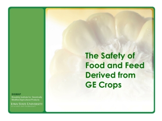 The Safety of  Food and Feed  Derived from  GE Crops