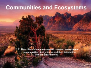 Communities and Ecosystems