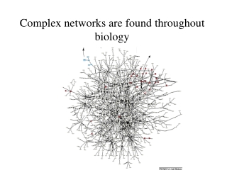 Complex networks are found throughout biology