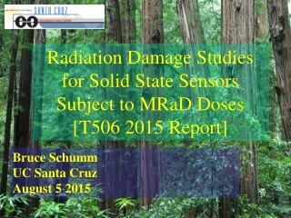Radiation Damage Studies for Solid State Sensors Subject to MRaD Doses [T506 2015 Report]
