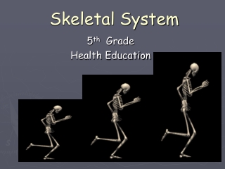 Skeletal System