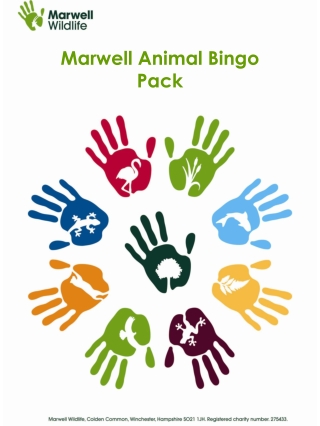 Marwell Animal Bingo  Pack