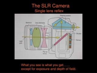 The SLR Camera    Single lens reflex