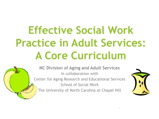 Effective Social Work Practice in Adult Services:  A Core Curriculum