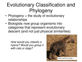 Evolutionary Classification and Phylogeny