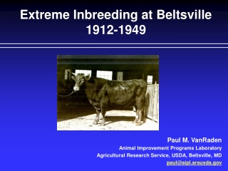 Extreme Inbreeding at Beltsville 1912-1949