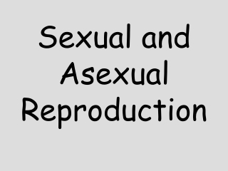 Sexual and Asexual Reproduction