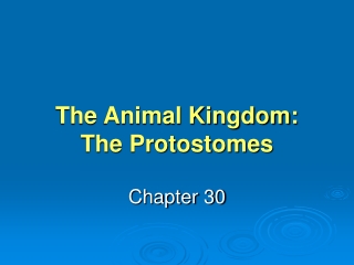 The Animal Kingdom: The Protostomes