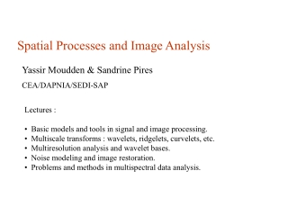 Spatial Processes and Image Analysis