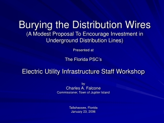 Presented at  The Florida PSC’s Electric Utility Infrastructure Staff Workshop by