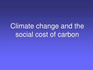 Climate change and the social cost of carbon
