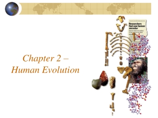 Chapter 2 – Human Evolution