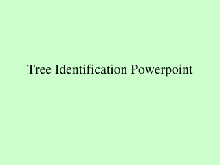 Tree Identification Powerpoint