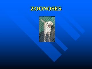 ZOONOSES