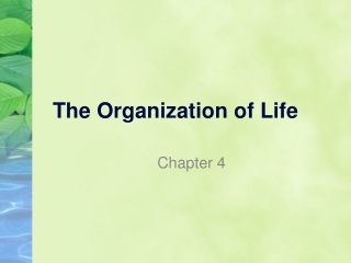 The Organization of Life