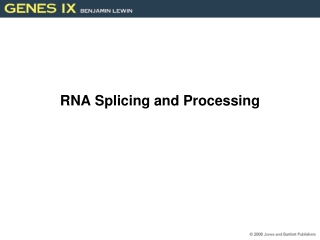 RNA Splicing and Processing