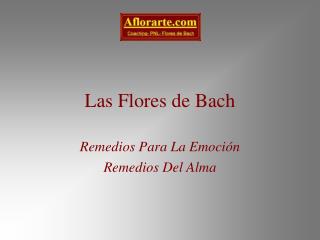 Las Flores de Bach