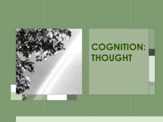 COGNITION: THOUGHT