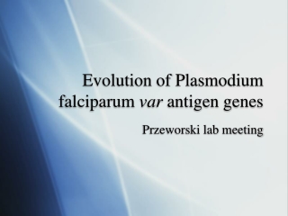 Evolution of Plasmodium falciparum  var  antigen genes