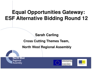Equal Opportunities Gateway: ESF Alternative Bidding Round 12