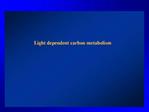 Light dependent carbon metabolism