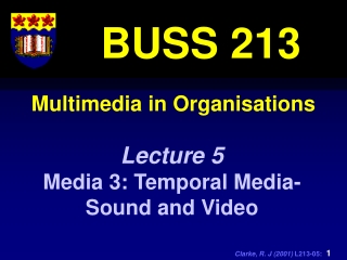 Multimedia in Organisations