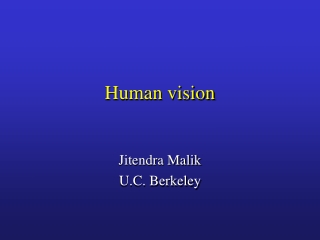 Human vision