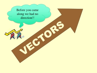 VECTORS