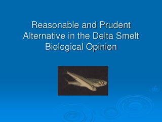 Reasonable and Prudent Alternative in the Delta Smelt Biological Opinion