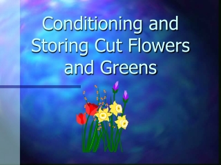 Conditioning and Storing Cut Flowers and Greens