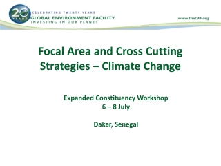 Focal Area and Cross Cutting Strategies – Climate Change