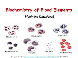 Biochemistry of Blood Elements