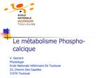 Le m tabolisme Phospho-calcique