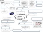Polymers Mind map