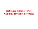 Technique immuno sur des Cultures de cellules nerveuses