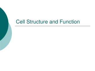 Cell Structure and Function