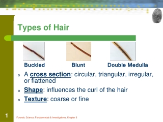 Types of Hair