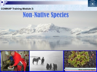Non - Native Species