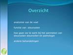 Overzicht