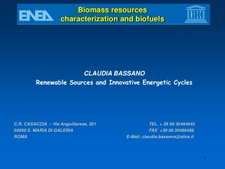 Biomass resources  characterization  and biofuels