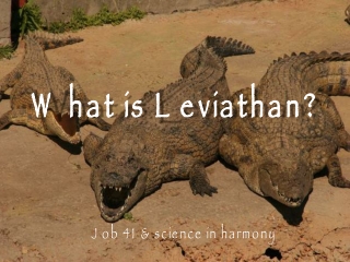 What is Leviathan?