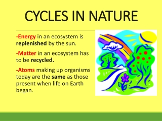 CYCLES IN NATURE